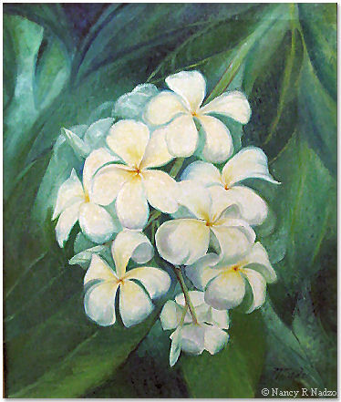 Plumeria flowers by Nancy Nadzo