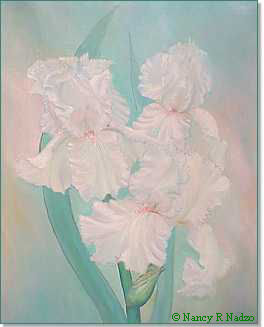 Pink Iris