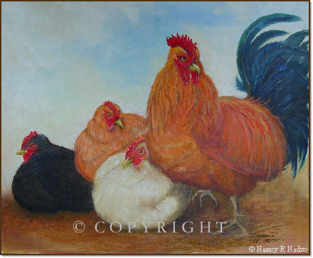 Chicken by Nancy R Nadzo