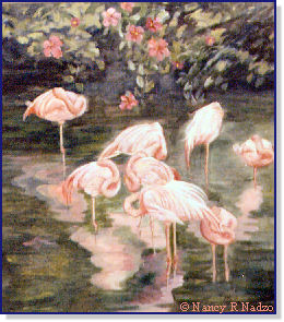 Flamingos