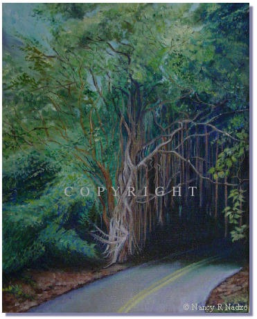 Old Pali Road by Nancy Nadzo