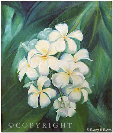 Plumeria flowers by Nancy Nadzo