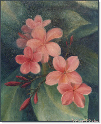 Red Plumeria